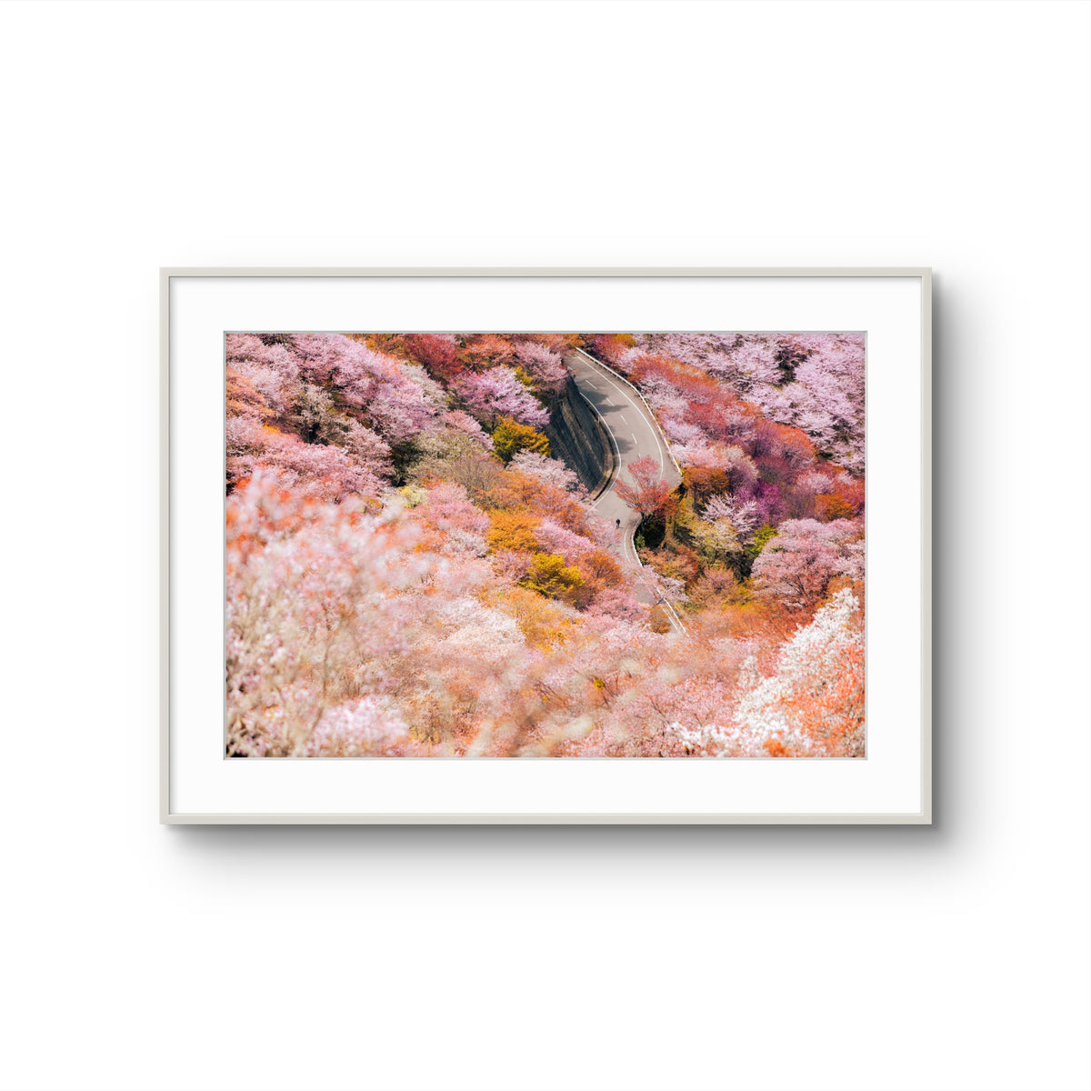 In Full Bloom by Mare Collantes, framed print mockup
