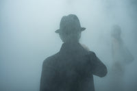 Shroud 3 artwork preview