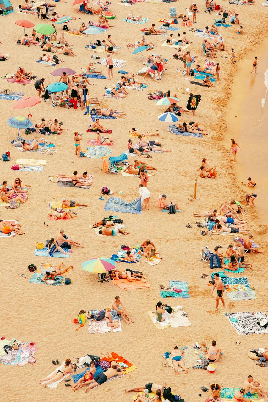 Beachspotting: a pidgeon goes for a tan