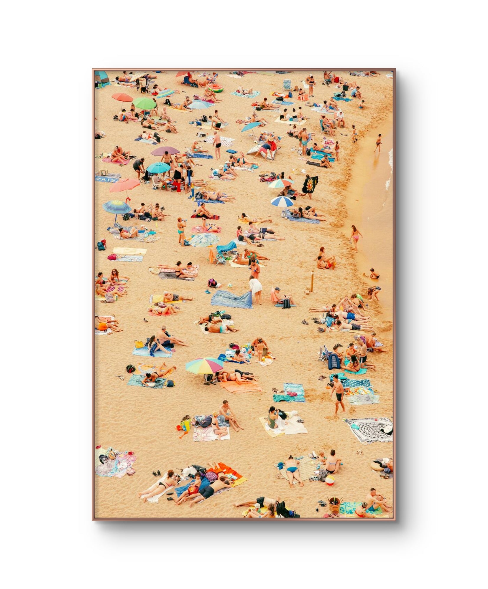 Beachspotting: a pidgeon goes for a tan