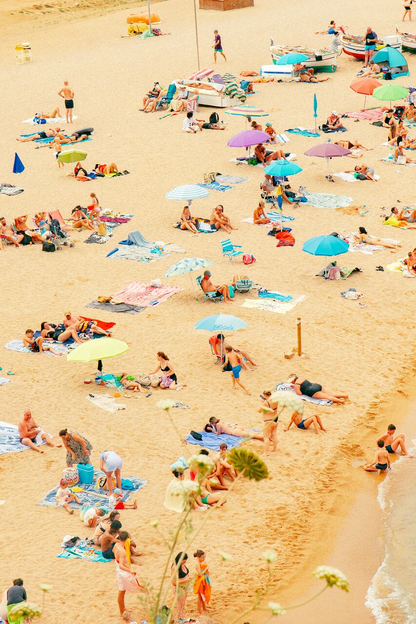 Beachspotting: just flowers in ur face