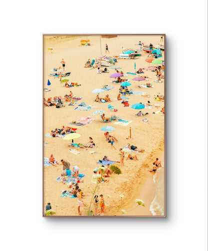 Beachspotting: just flowers in ur face