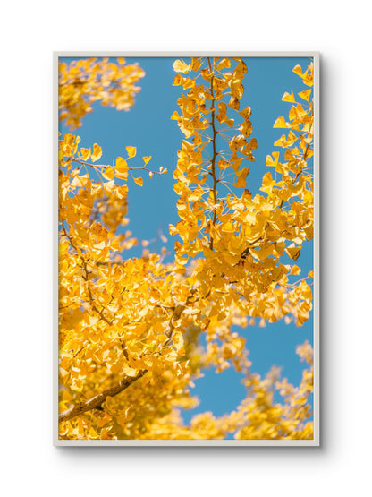 Autumn by Mare Collantes, framed print mockup
