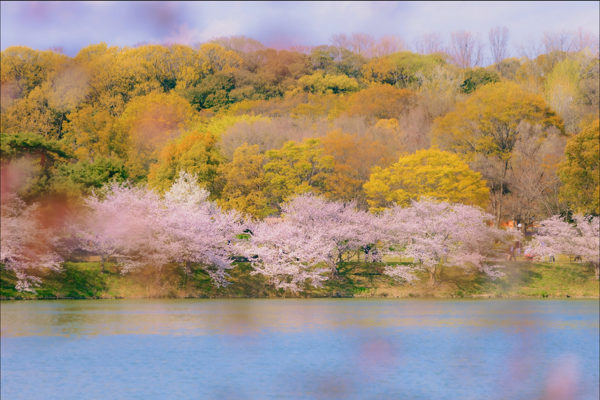 Lakeside artwork by Mare Collantes