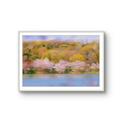Lakeside by Mare Collantes, framed print mockup