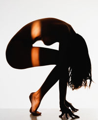 Fleshlight artwork preview